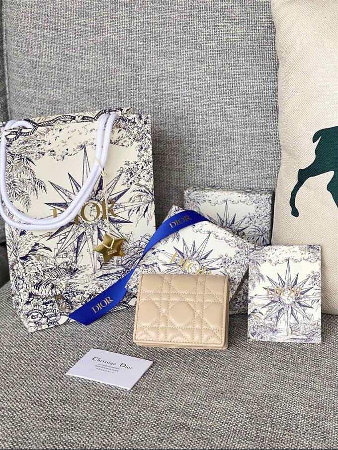 2025228Y310P203710489