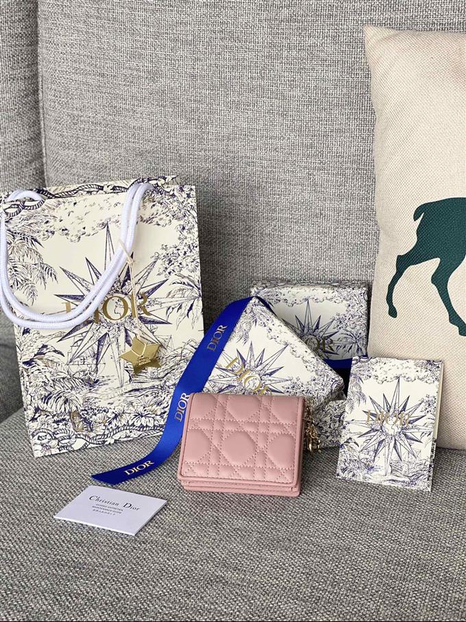 2025228Y310P20371081