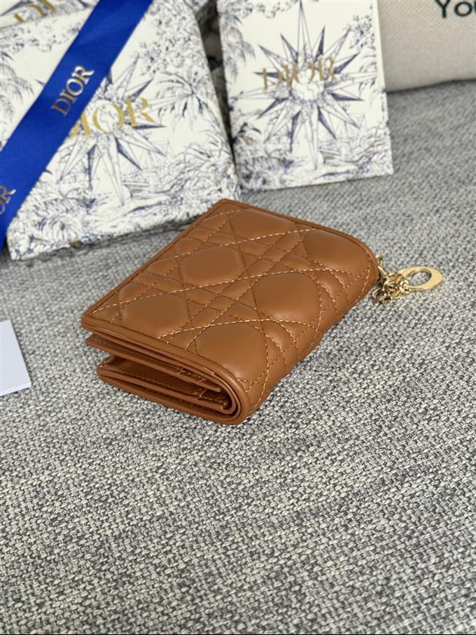 2025228Y310P20379546