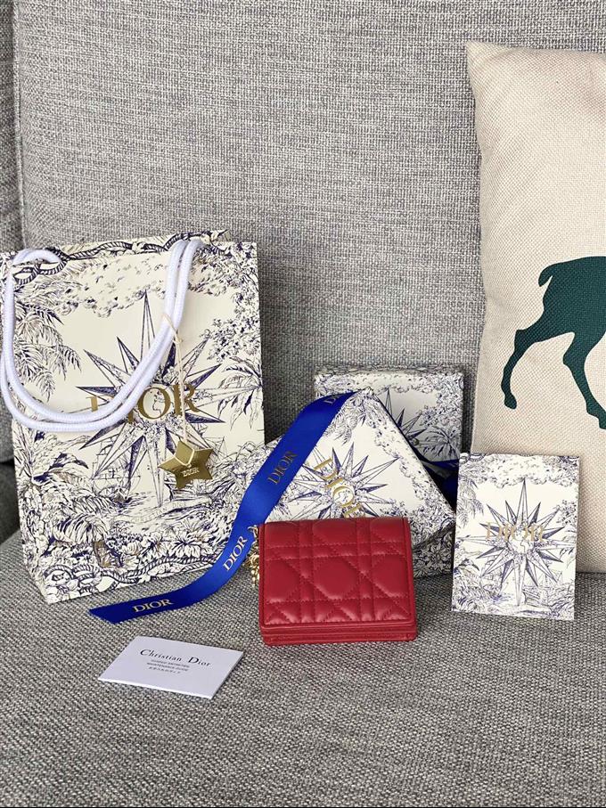 2025228Y310P20379925