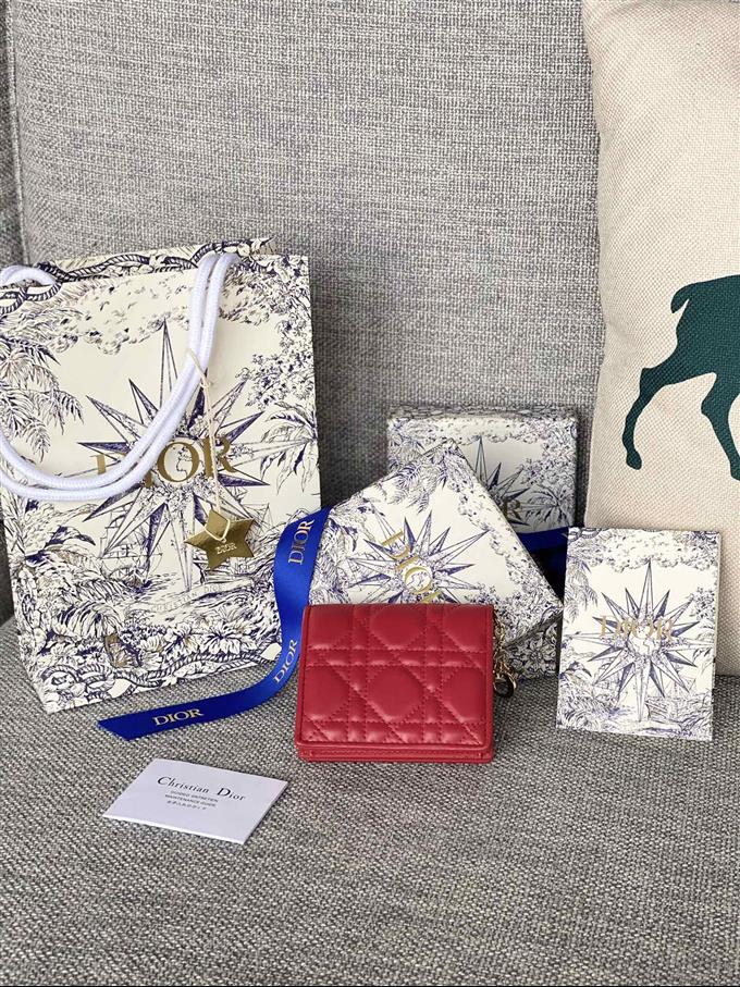 2025228Y310P20379940