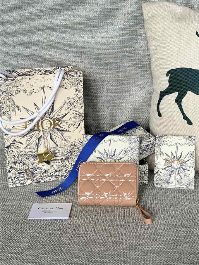 2025228Y330P203710646