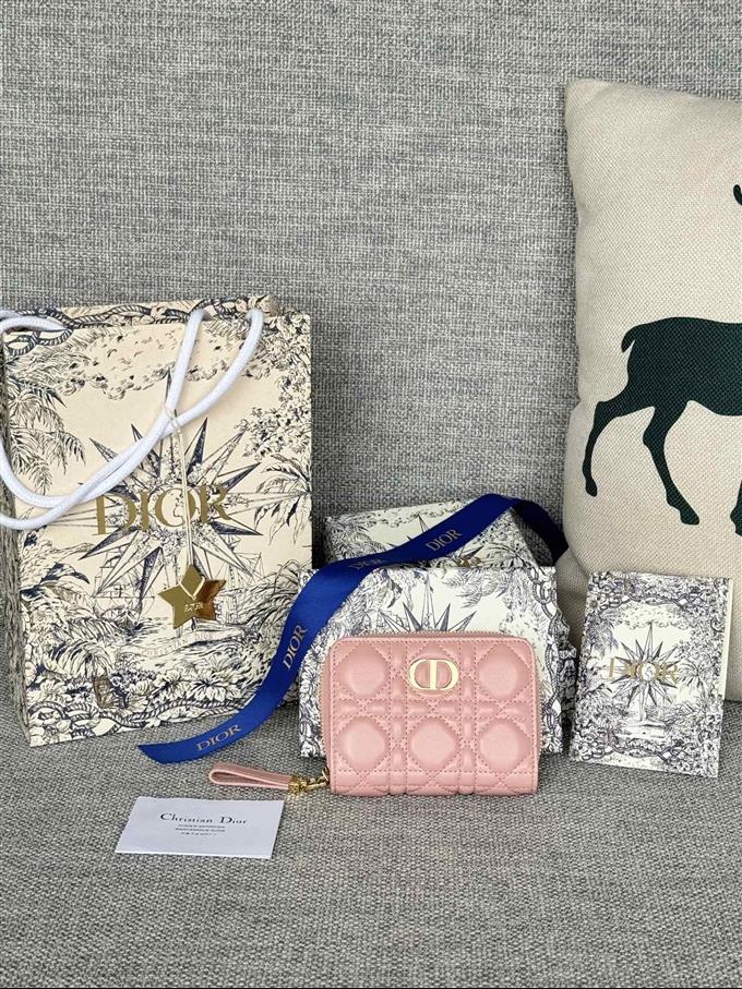 2025228Y330P203713328