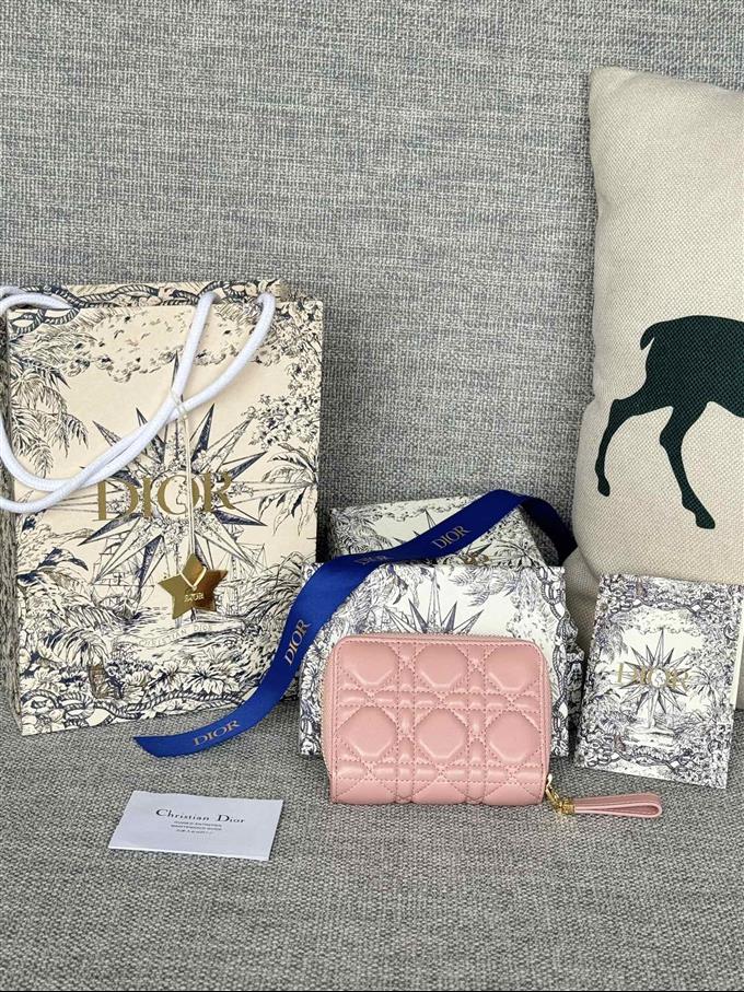 2025228Y330P203713344