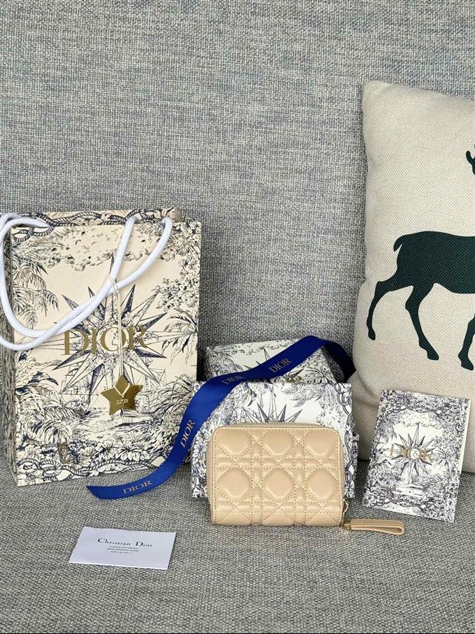 2025228Y330P203713487