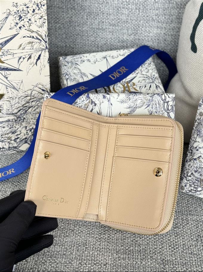 2025228Y330P203713550