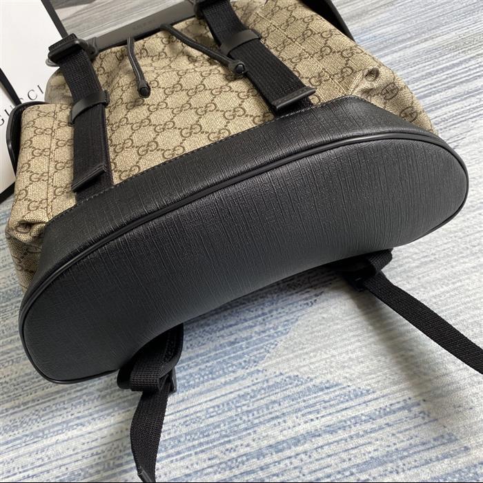 202529C495563N164019371