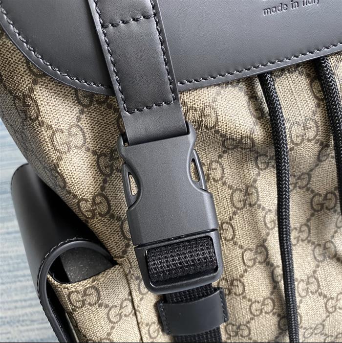 202529C495563N164019417