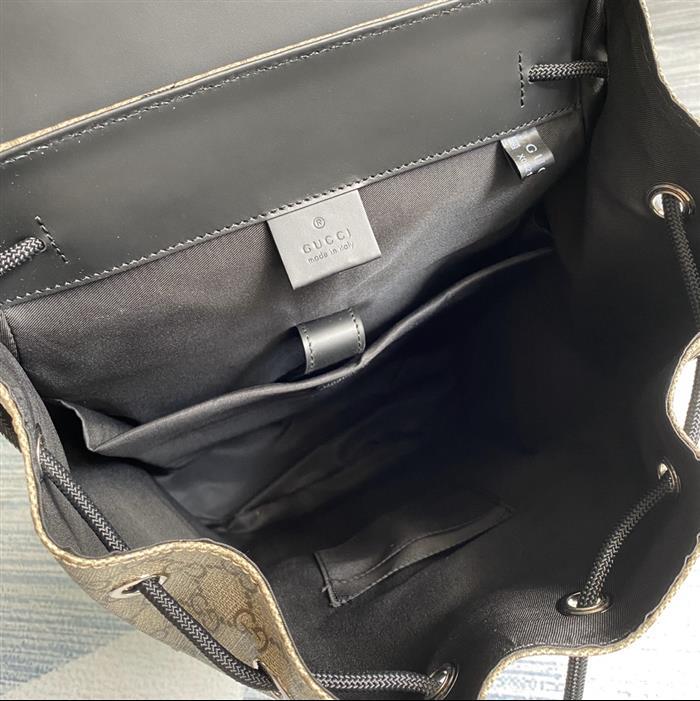 202529C495563N164019464