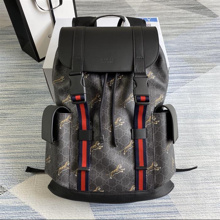 202529C495563N164019481