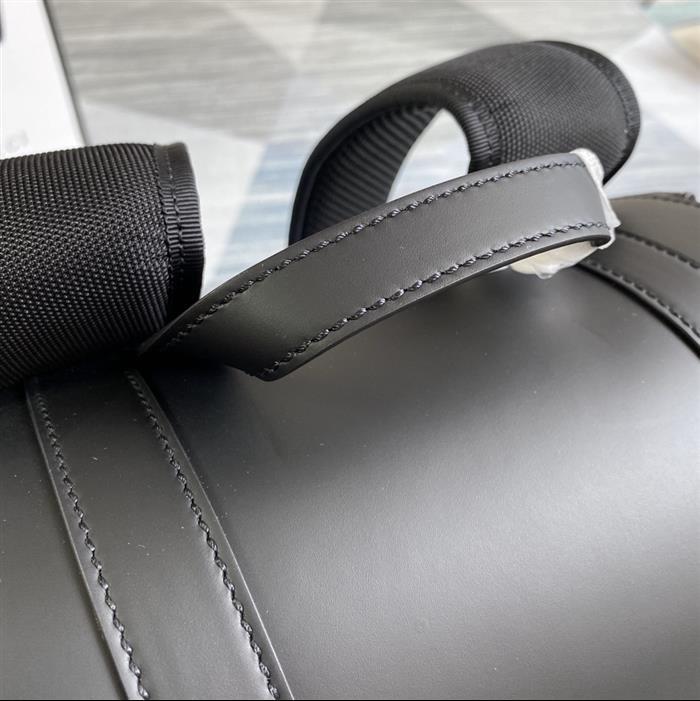 202529C495563N164019558