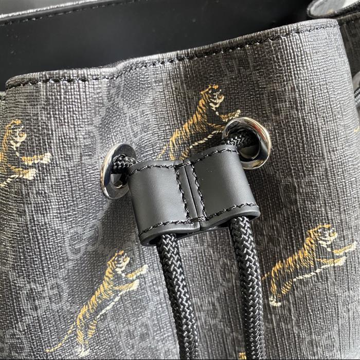 202529C495563N164019590