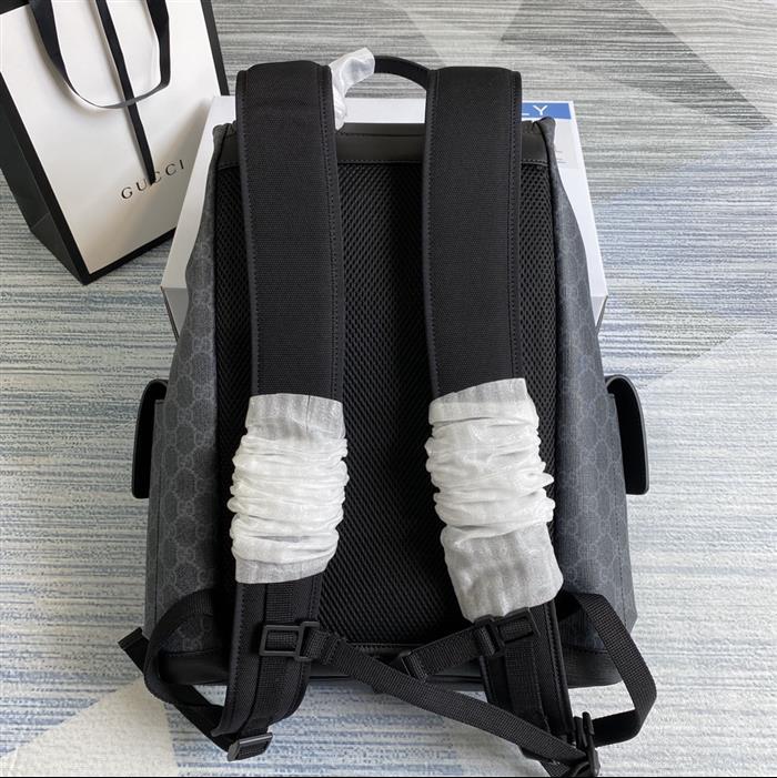 202529C495563N164019636