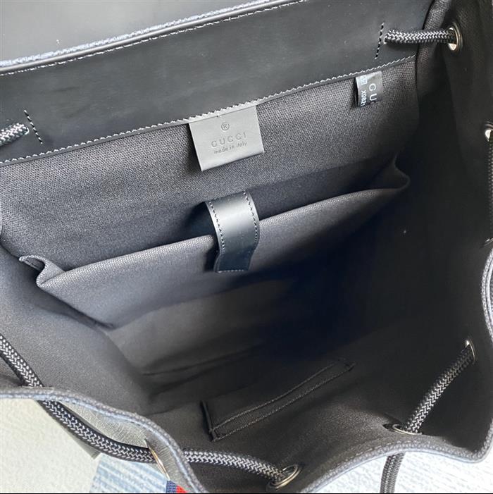 202529C495563N164019732