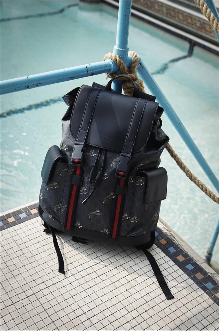 202529C495563N164019764