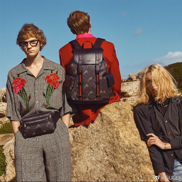 202529C495563N164019843