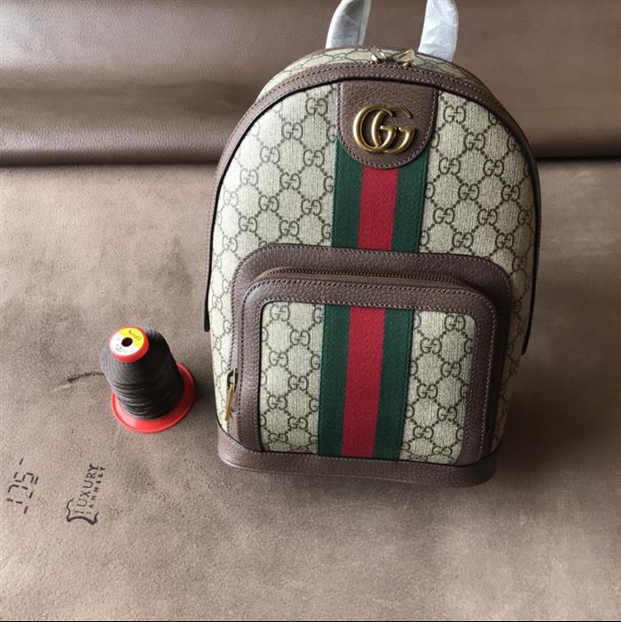 202529C547965N164019979