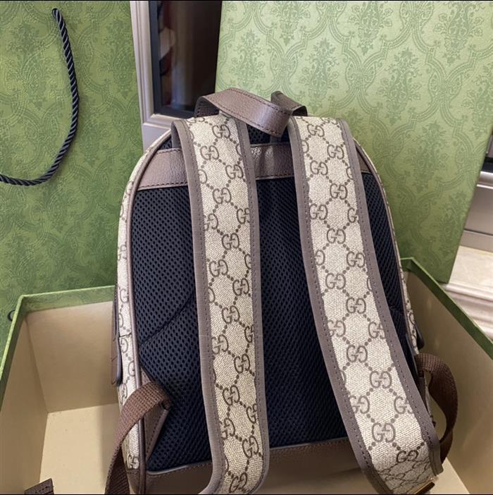 202529C547965N164020331