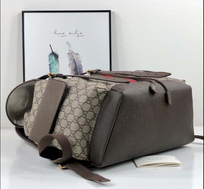 202529C598140N164034868