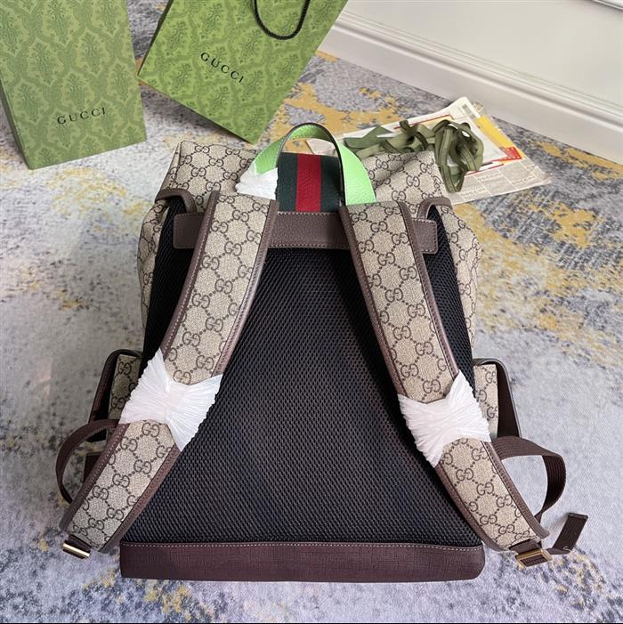 202529C598140N164035278