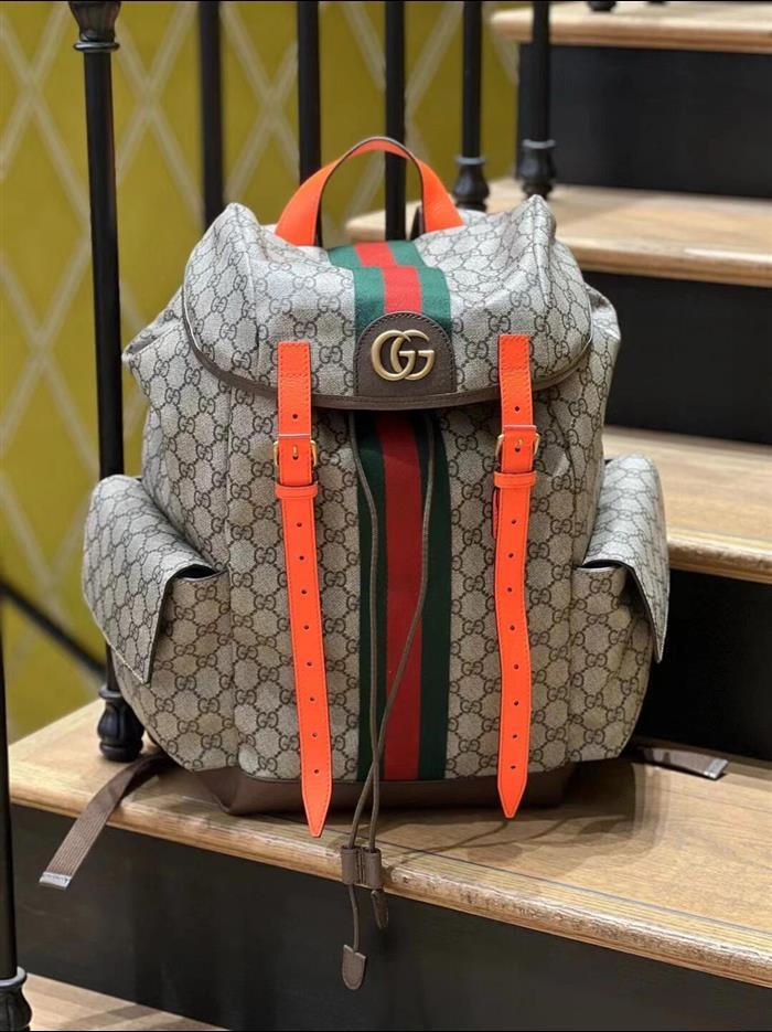 202529C598140N164035593