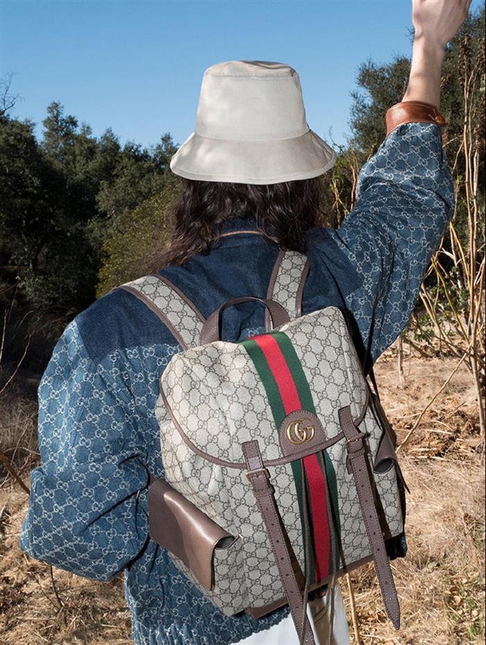 202529C598140N164035814