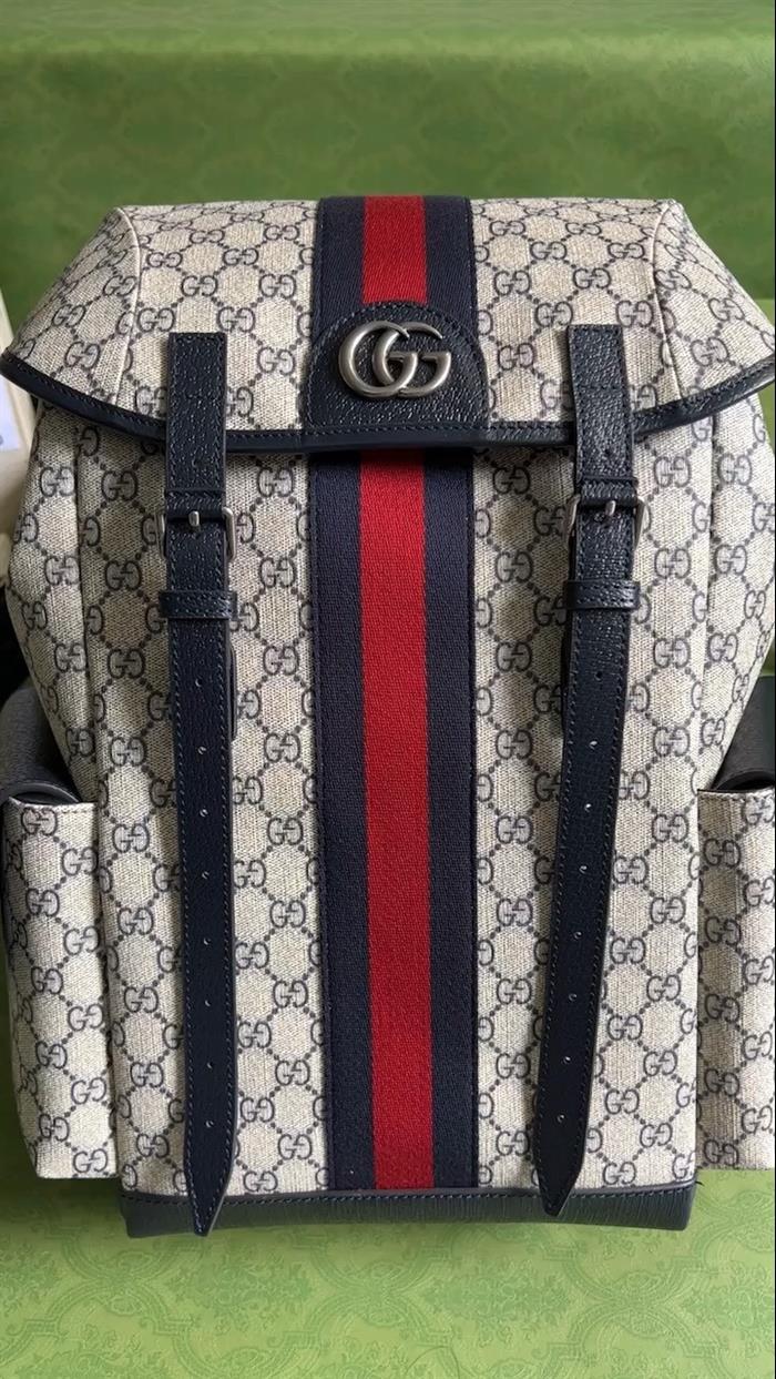 202529C598140N16403635