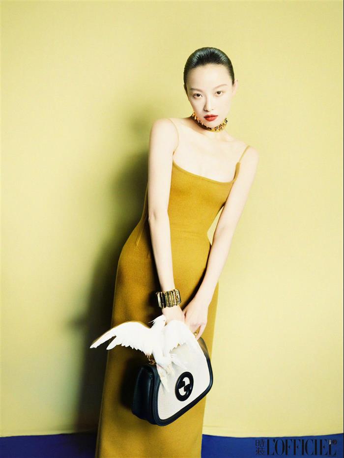 2025210C815716N202141228