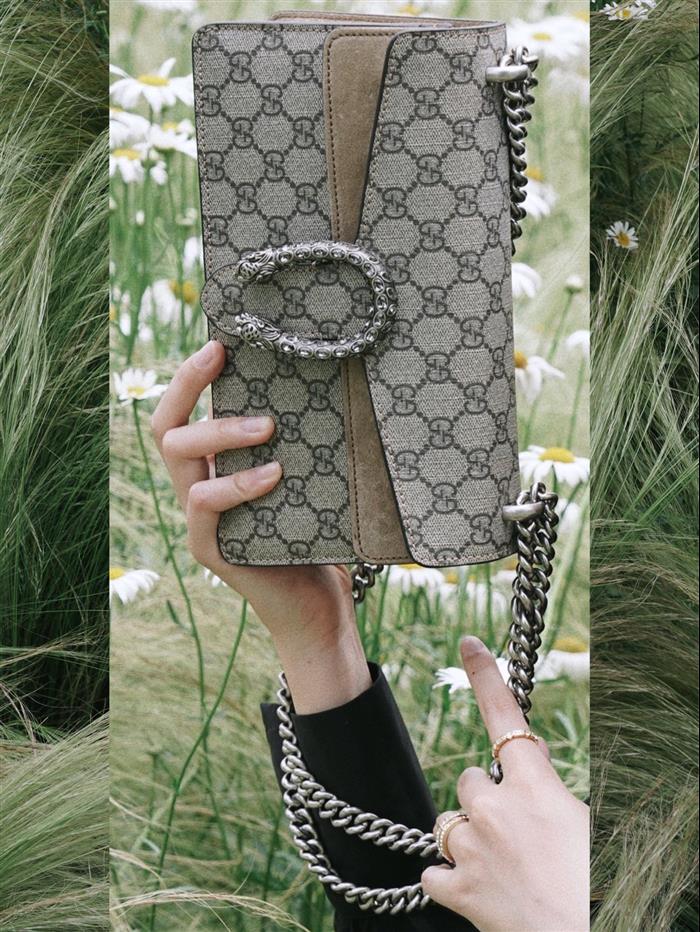 202529C499623N16404814