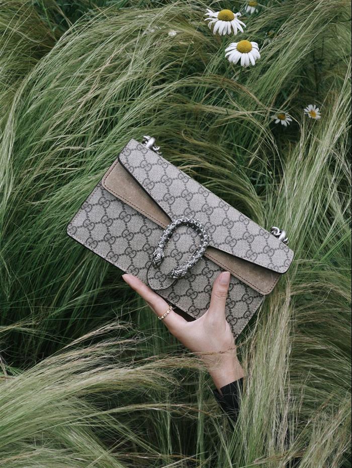 202529C499623N16404845