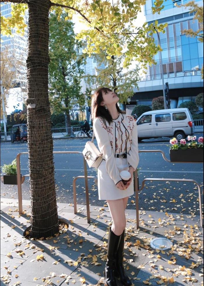 202529C499623N164047466