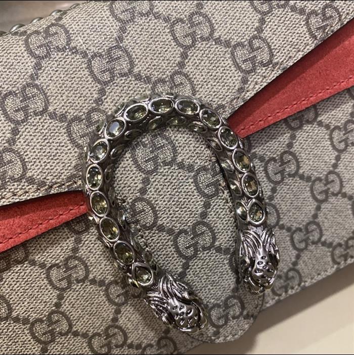 202529C499623N164047543