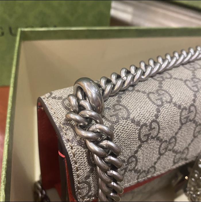 202529C499623N164047559