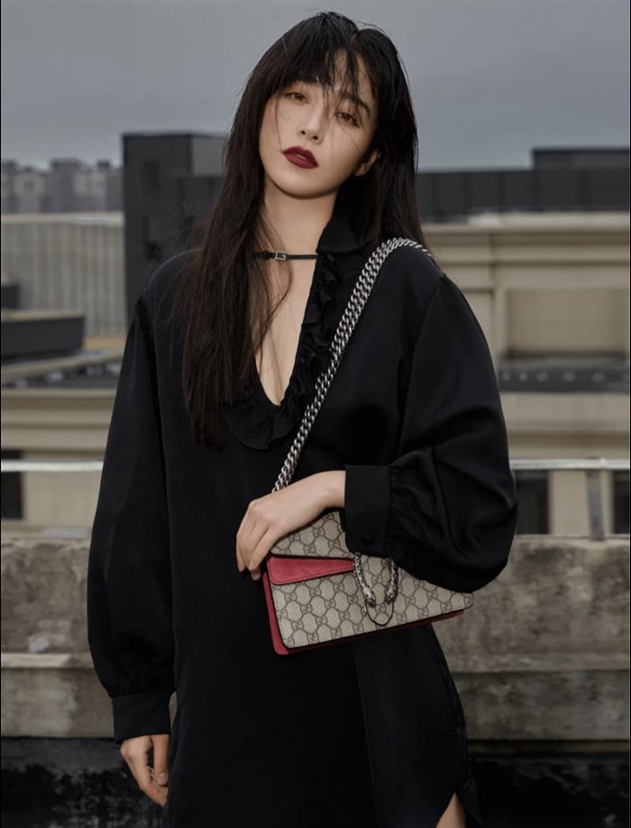 202529C499623N164043600