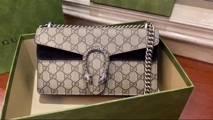 202529C499623N164043661