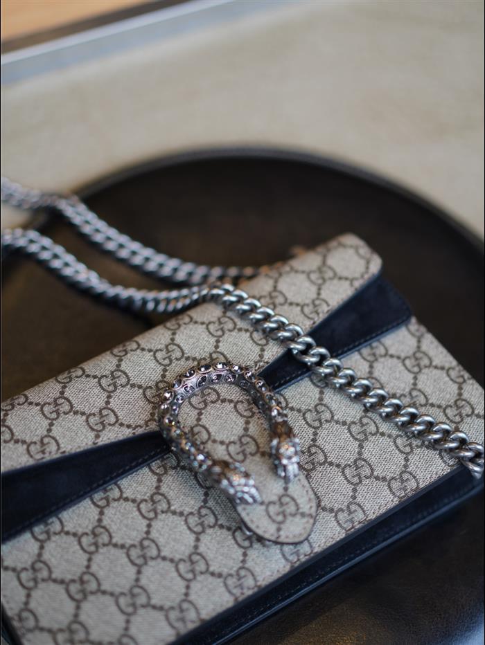 202529C499623N164043834