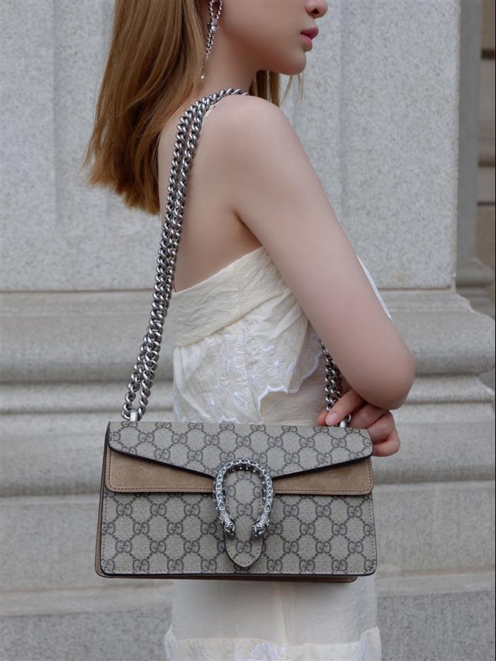 202529C499623N164044276