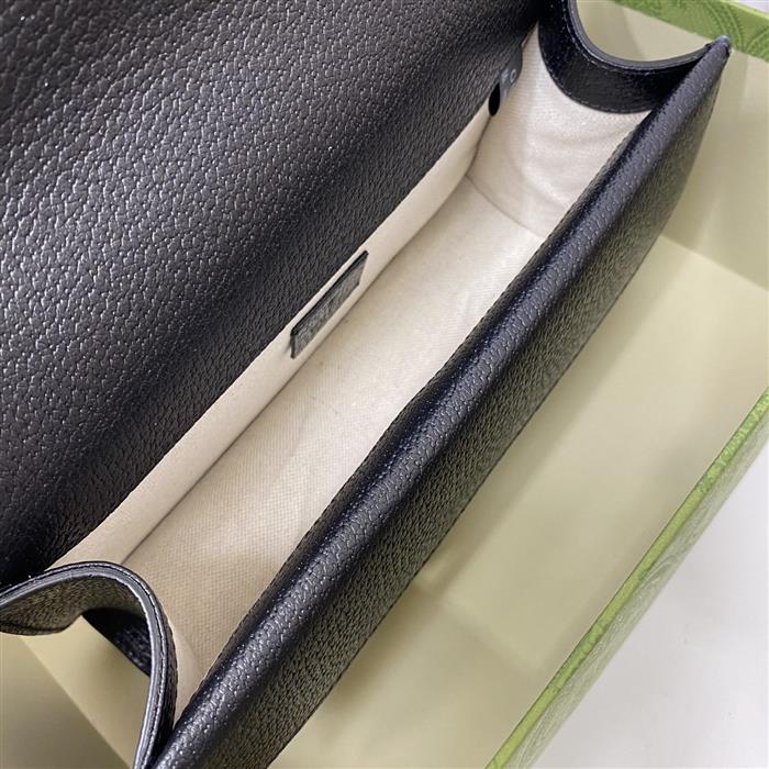 202529C499623N164044400