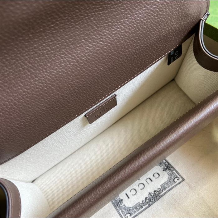 202529C499623N164044744