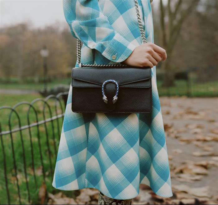 202529C499623N164044947