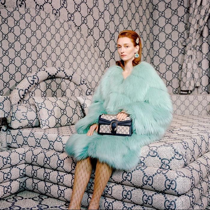 202529C499623N164045373