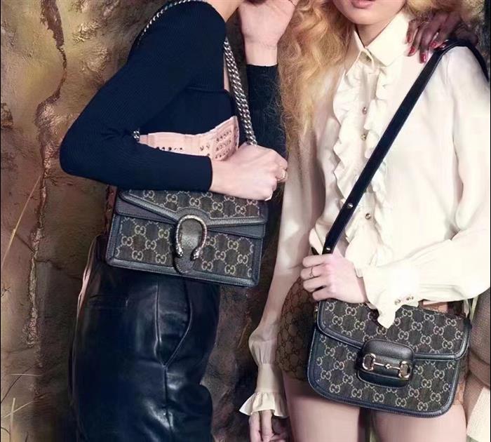 202529C499623N16404540