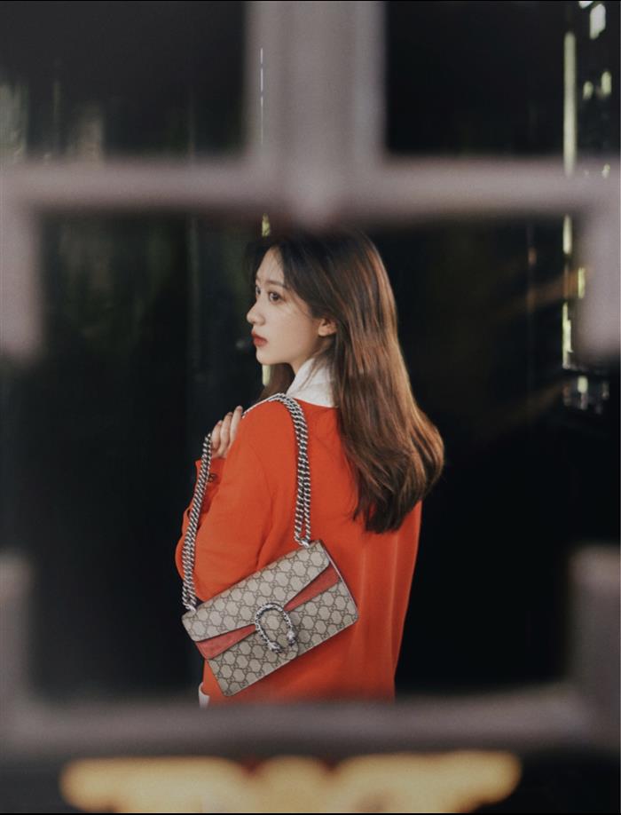 202529C499623N164045468