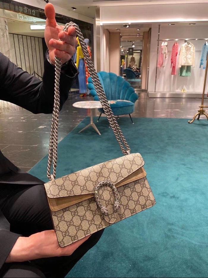 202529C499623N164045548