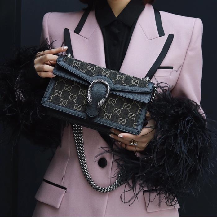 202529C499623N16404556