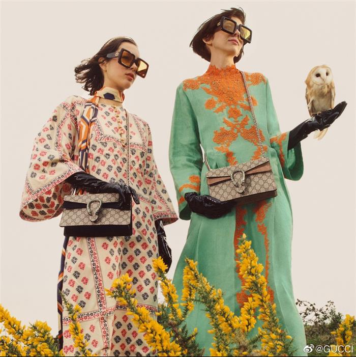 202529C499623N164045596