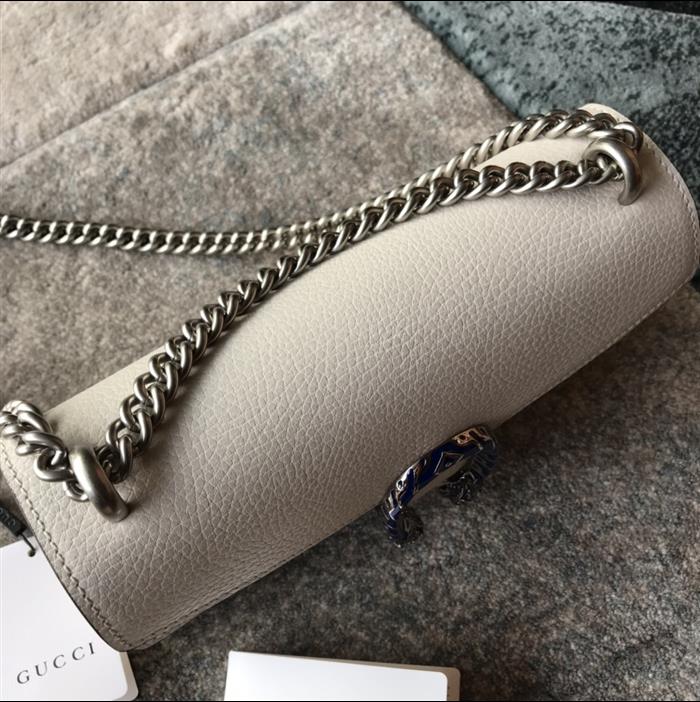 202529C499623N164045851