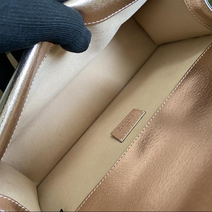 202529C499623N164046294