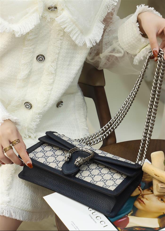 202529C499623N164046607