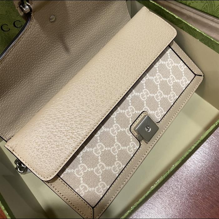 202529C499623N164047185